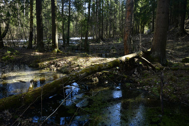 Similar image 21808192