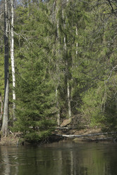 Similar image 21808193