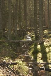 Similar image 21808196