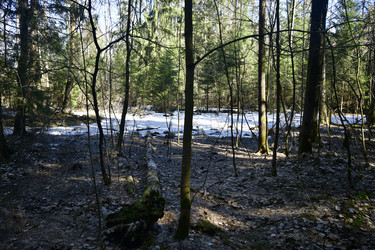 Similar image 21808197