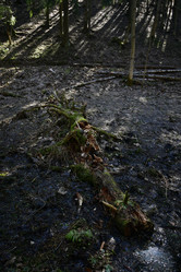 Similar image 21808198