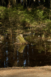 Similar image 21808199