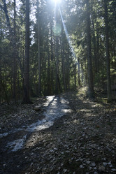 Similar image 21808201