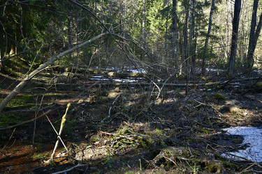 Similar image 21808203