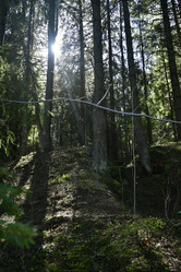 Similar image 21808204