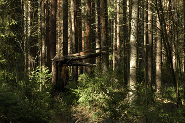 Similar image 21808205