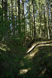 Similar image 21808206