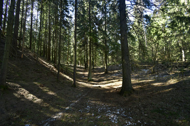 Similar image 21808207