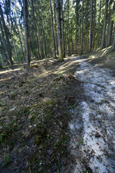 Similar image 21808208