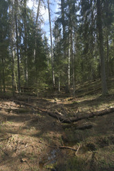 Similar image 21808209