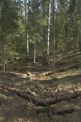 Similar image 21808210