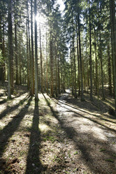 Similar image 21808211