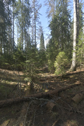 Similar image 21808212