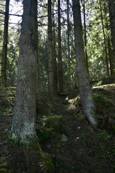 Similar image 21808213