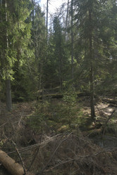 Similar image 21808214