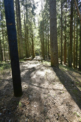 Similar image 21808215