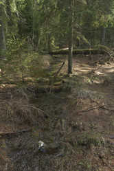 Similar image 21808251