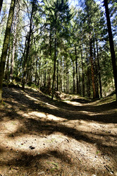 Similar image 21808252