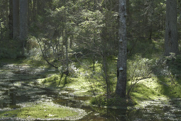 Similar image 21808257