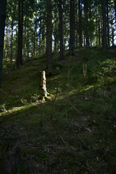 Similar image 21808258