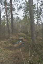 Similar image 21808259