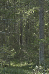 Similar image 21808260