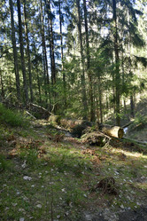 Similar image 21808261