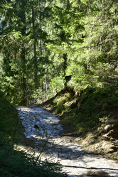 Similar image 21808262