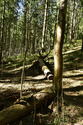 Similar image 21808263