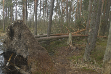 Similar image 21808265