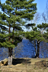 Similar image 21808318