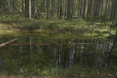 Similar image 21808320