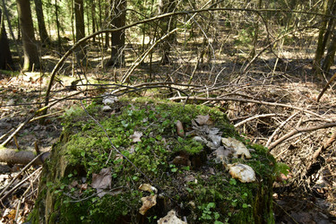 Similar image 21808321