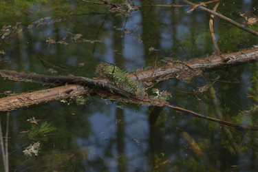 Similar image 21808322