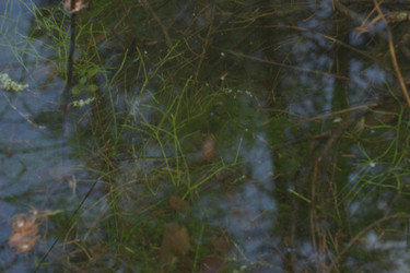 Similar image 21808324