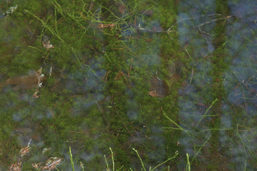 Similar image 21808326