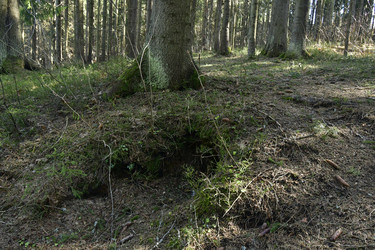 Similar image 21808327