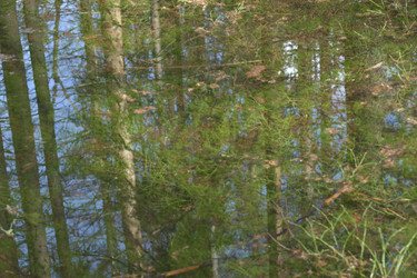 Similar image 21808328