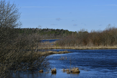 Similar image 21808331