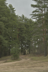 Similar image 21808334