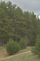 Similar image 21808337