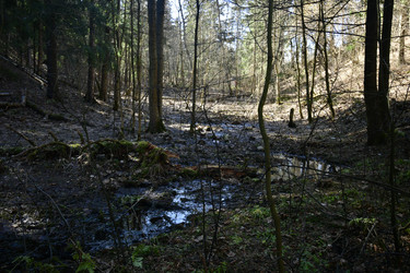 Similar image 21808339