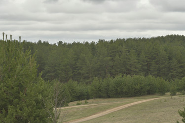 Similar image 21808340