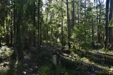 Similar image 21808341