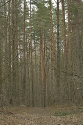 Similar image 21808342