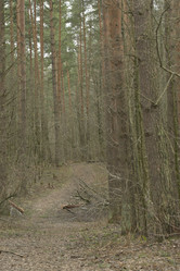 Similar image 21808344