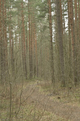 Similar image 21808346