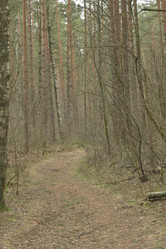 Similar image 21808348