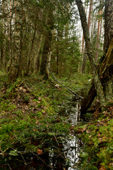 Similar image 21808349