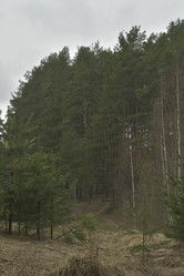 Similar image 21808350